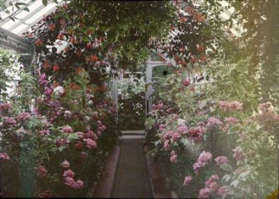Conservatory at Luton Hoo 1913